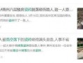 梅州生活爆料事件最新消息,最新事件追踪，真相渐明